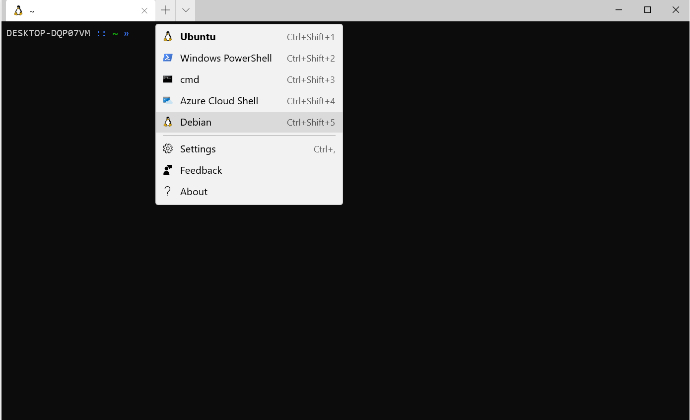 opening your distro in Windows Terminal